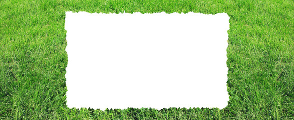 Nature background with empty white frame in the middle of meadow with green grass. Park scene banner with blank space on grass field 