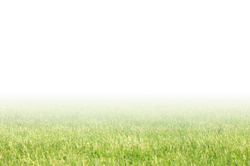 Obraz na płótnie Canvas Green grass gradient banner with empty white copy space. Nature background, panoramic wide wallpaper. Park lawn wide template 
