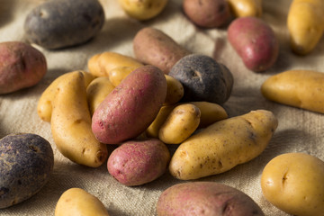 Raw Organic Fingerling Potatoes