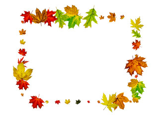 Naklejka na ściany i meble Autumn leaf isolated. Falling October background. Thanksgiving season concept