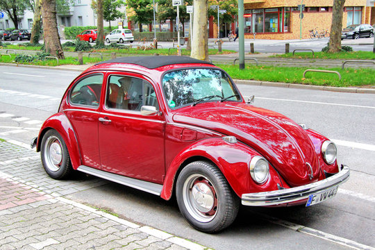 Beetle