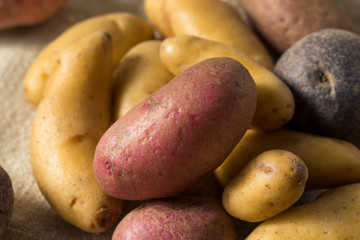 Raw Organic Fingerling Potatoes