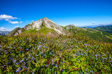 Zauchensee - Strimskogel - Steinfeldspitze - Schwarzkopf