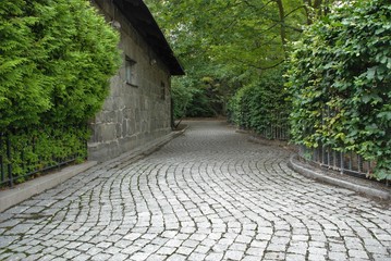 green spaces of park alleys