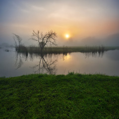 Naklejka na ściany i meble spring morning. foggy dawn. picturesque foggy river