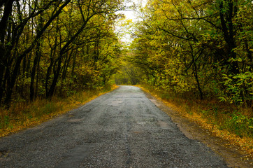 Old autumn road blowing into the distance