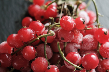 frozen berries red currants covered with hoarfrost scattered on a slate dish.