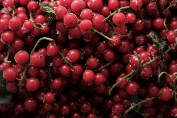 frozen berries red currants