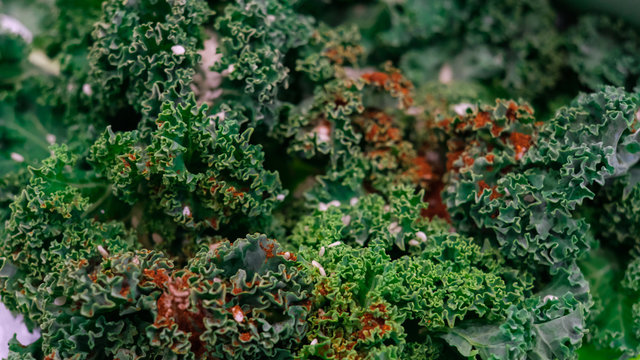 Vegetarian salad with cabbage kale with walnuts and sesame seeds