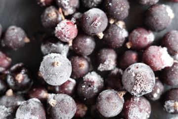 natural frozen blackcurrant berries covered with hoarfrost scattered on a slate dish.
