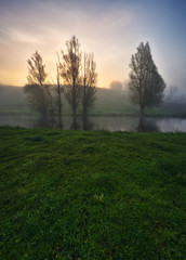 Plakat spring morning. foggy dawn. picturesque foggy river