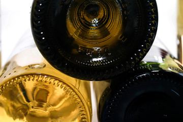 Bottles of table wine on white background.