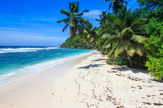 Anse royale