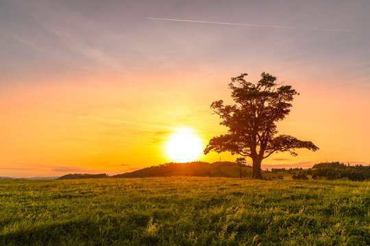Abandoned tree when sun rays pass through the center of the trunk and orange clouds staying at sunset overlooking the countryside and hay on the edge of captured in Beskids nature