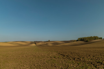 Fototapeta na wymiar Landscape of South Moravia region known for growing vines captured farms and fields during a sunny day in autumn in the fields moving animals and a gentle blue sky without clouds.