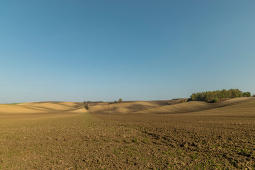 Fototapeta na wymiar Landscape of South Moravia region known for growing vines captured farms and fields during a sunny day in autumn in the fields moving animals and a gentle blue sky without clouds.