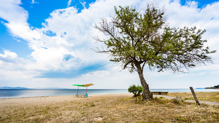 Baum und Unterstand am Strand