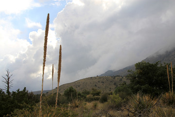 Guadalupe mountains in New Mexico, USA