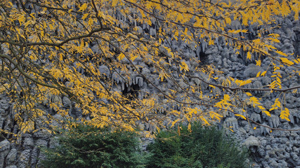 Fragment of stalactite-like dripstone art wall at Wallenstein Palace garden, Prague, Czech