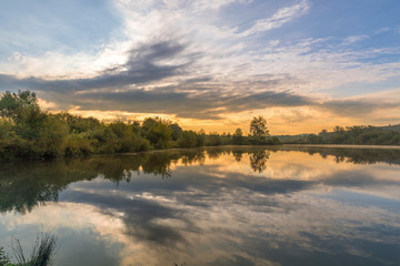 Housefly - Musca domestica close-up macro view while flying in smoke on head eyes and body with outstretched wings in the air on dark background.