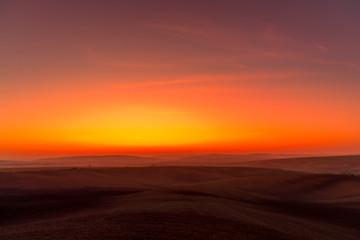 Housefly - Musca domestica close-up macro view while flying in smoke on head eyes and body with outstretched wings in the air on dark background.