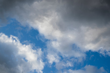Housefly - Musca domestica close-up macro view while flying in smoke on head eyes and body with outstretched wings in the air on dark background.