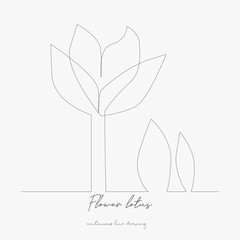 continuous line drawing. flower lotus. simple vector illustration. flower lotus concept hand drawing sketch line.
