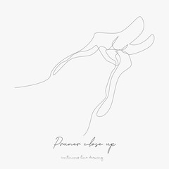 continuous line drawing. pruner close up. simple vector illustration. pruner close up concept hand drawing sketch line.