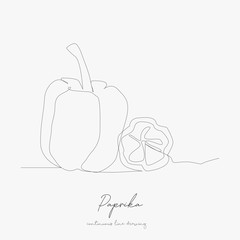 continuous line drawing. paprika. simple vector illustration. paprika concept hand drawing sketch line.