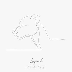 continuous line drawing. leopard. simple vector illustration. leopard concept hand drawing sketch line.