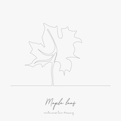 continuous line drawing. maple leaf. simple vector illustration. maple leaf concept hand drawing sketch line.