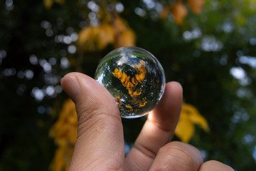 a man's hand holds a view yellow autumn leaves in a miniature glass lens ball