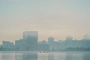rowers swim at sunrise in the city