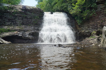 Obraz premium Swallow Falls Maryland