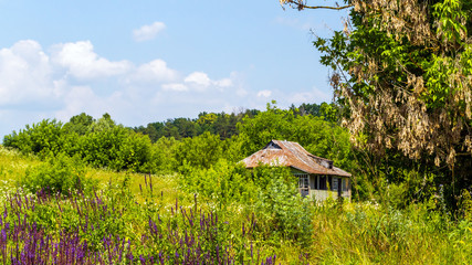 House in the nature