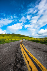 Yokohl Valley, Tulare County, road and field in springtime