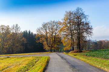 Morning over countryside road. Czech republic.