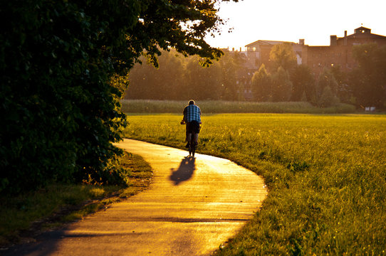Der Sonne entgegen