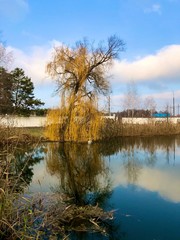 Trees are reflected in the water of the lake. Autumn landscape, a small pond in the forest. Reflection of sky and trees in a park pond.