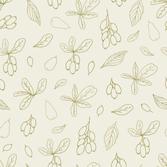 Organic collection. Vector seamless pattern with a plant barberry on a white background