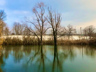 Trees are reflected in the water of the lake. Autumn landscape, a small pond in the forest. Reflection of sky and trees in a park pond.