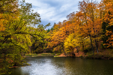 Small lake surrounded with forest at autumn. Tresnja lake in Serbia.