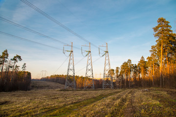 Power line in late autumn on the background of forest clearing in the rays of the setting sun....