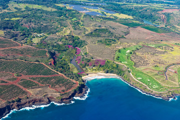 Aerial view of Kauai south coast showing coffee plantations near Poipu Kauai Hawaii USA