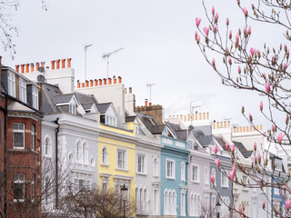 Early Spring in Notting Hill
