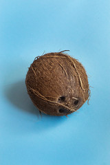 Creative layout made of coconut on blue background in minimal style.