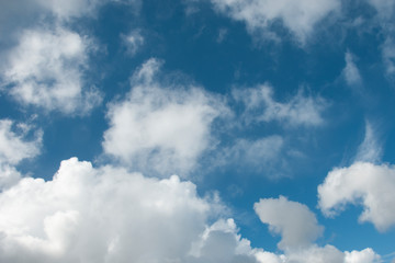 Atmospheric sky art image. White cumulus cloud in blue sky. Australia.