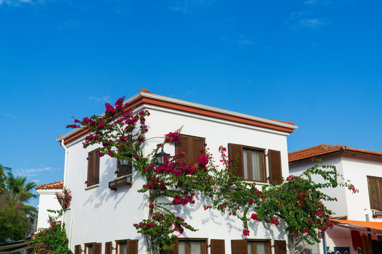 Photo of lovely flowering house and sky, Beautiful house in Sığacık district of İzmir province,
