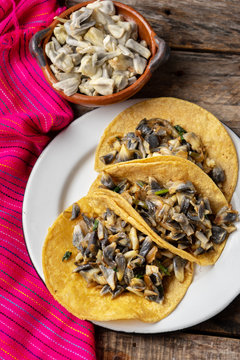 Mexican corn smut taco called "huitlacoche" on wooden background