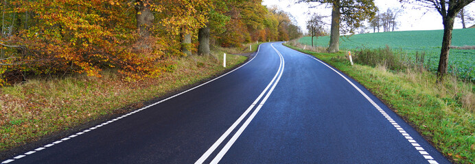   Asphalt road in a autumn nature colors  .  ( Mulkholmvej  -  Holbaek  / Denmark .